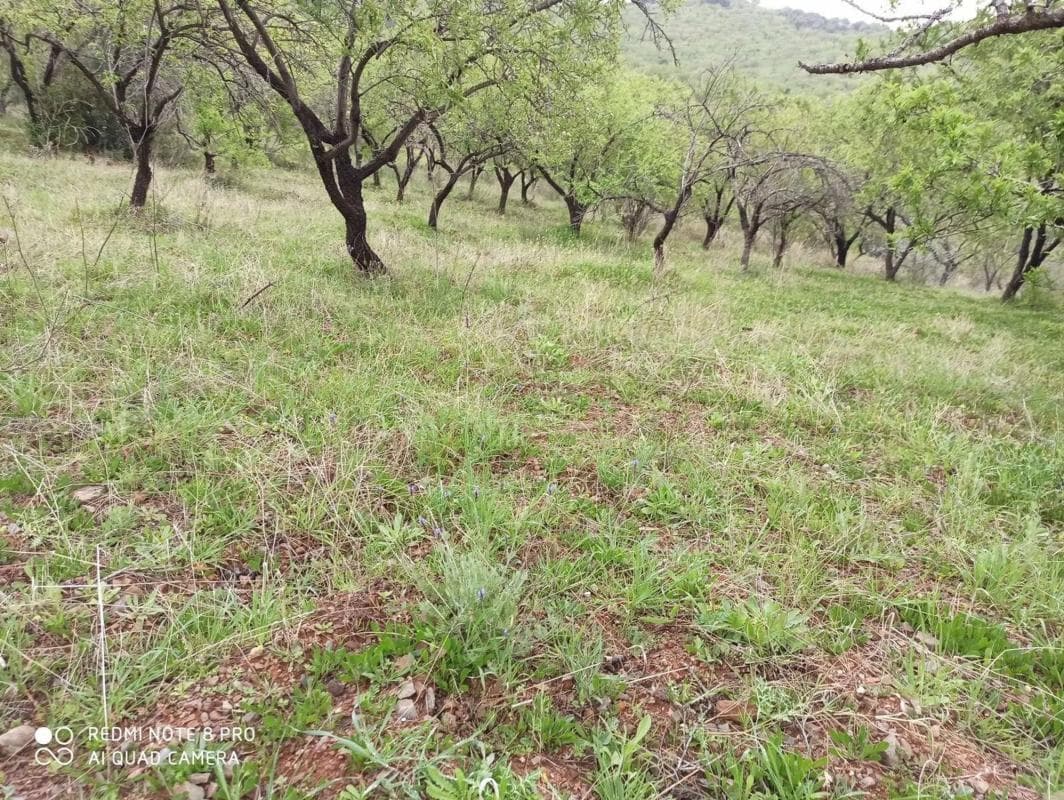 Terreno en venta en Totalan, Malaga photo 2