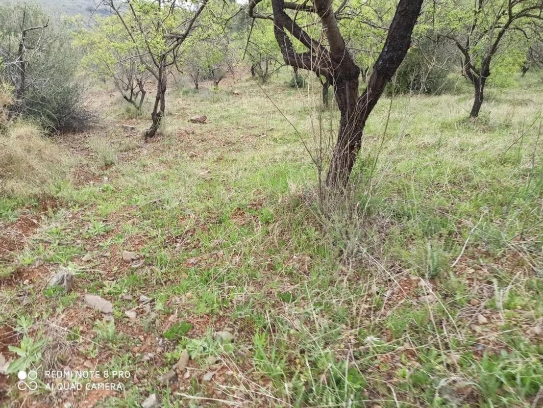 Terreno en venta en Totalan, Malaga photo 3