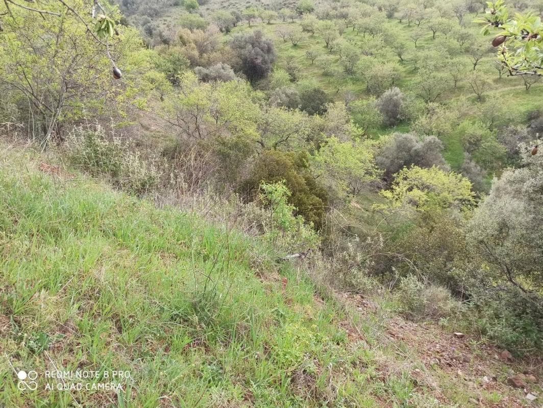 Terreno en venta en Totalan, Malaga photo 4