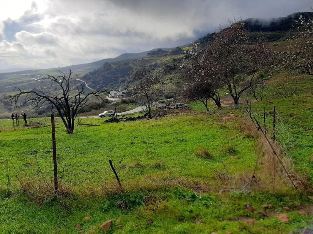 Terreno en venta en Villanueva de la Concepcion, Malaga photo 5