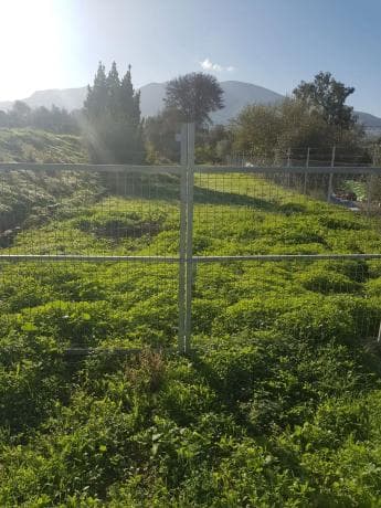 Terreno en El Cigarral - Dehesa - Borrajo photo 1