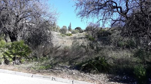 Terreno en Urbanización Pueblo Valtocado s/n photo 1