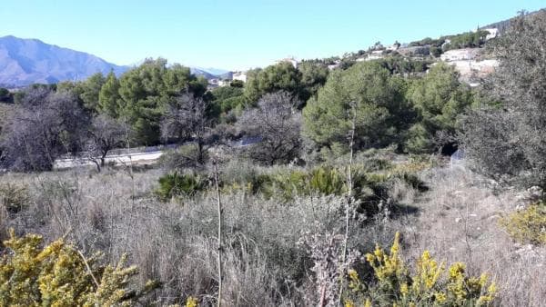 Terreno en Urbanización Pueblo Valtocado s/n thumbnail 2
