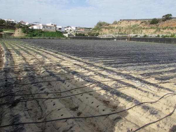 Terreno en Algarrobo photo 1