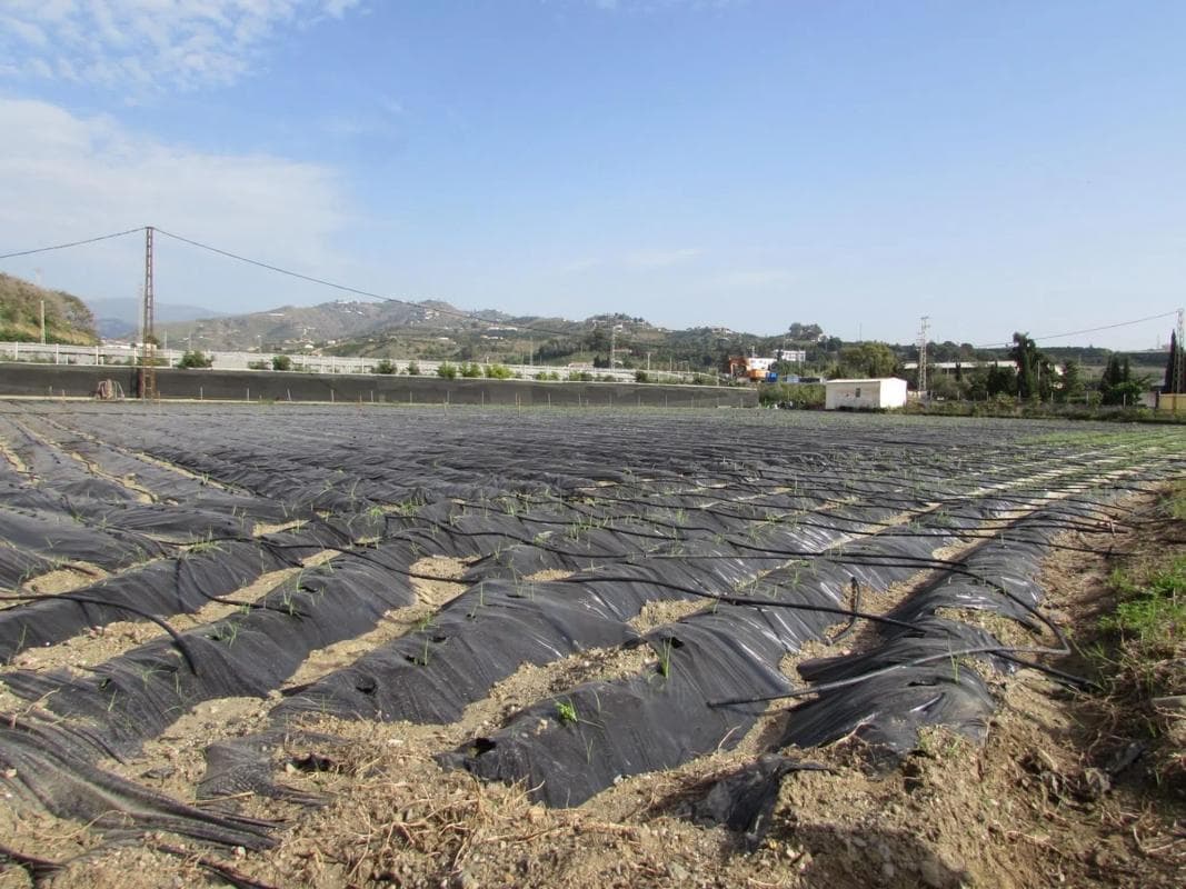 Terreno en venta en Algarrobo, Malaga photo 2