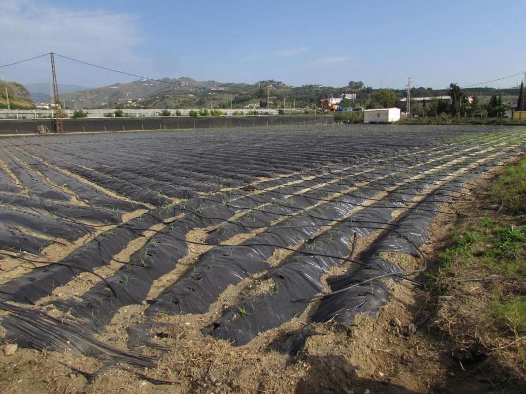 Terreno en venta en Algarrobo, Malaga photo 3