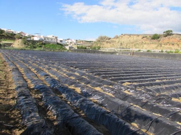 Terreno en Algarrobo photo 4