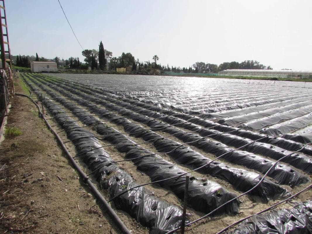 Terreno en venta en Algarrobo, Malaga photo 5