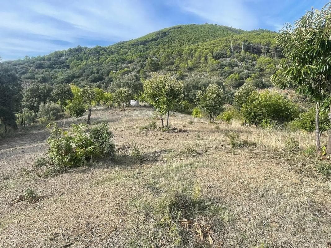 Terreno en venta en Farajan, Malaga photo 3