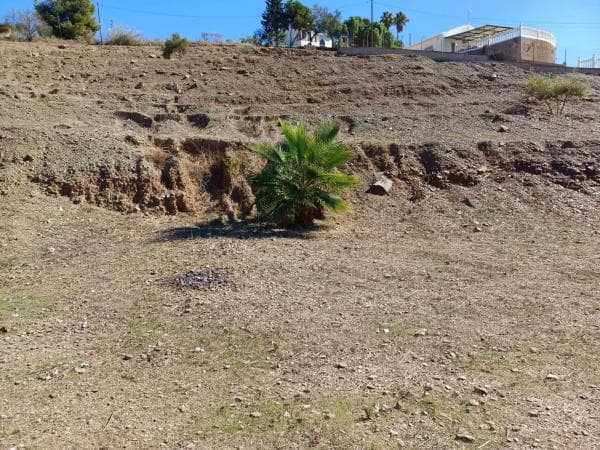 Terreno en Benajarafe photo 4