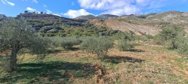 Terreno en Llano Julian / Pdo. Almarages s/n photo 1