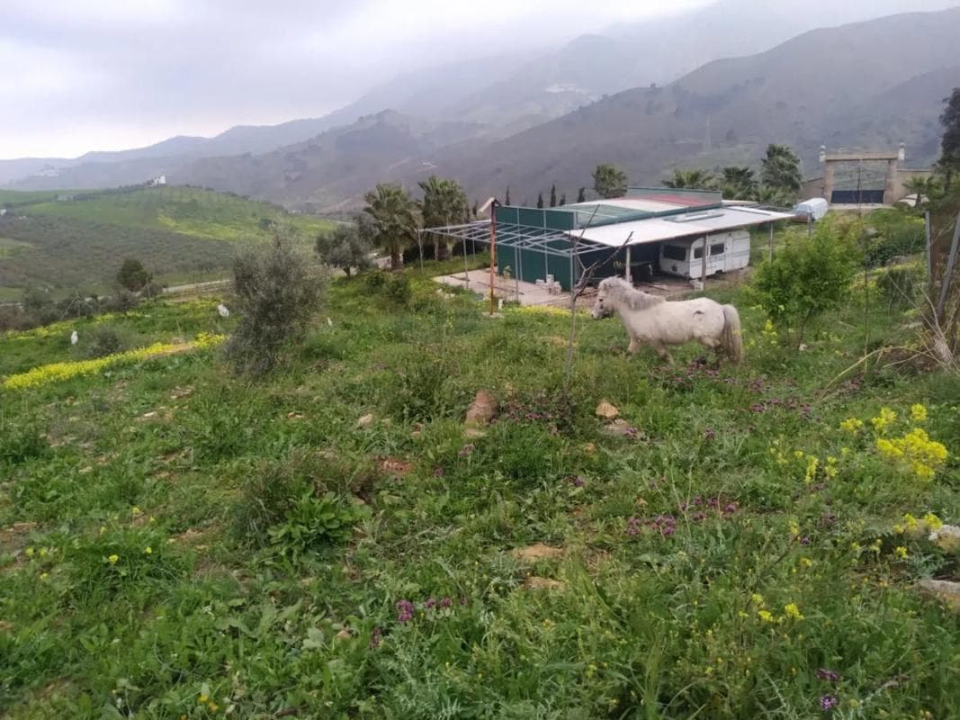 Terreno en venta en Carratraca, Malaga photo 5