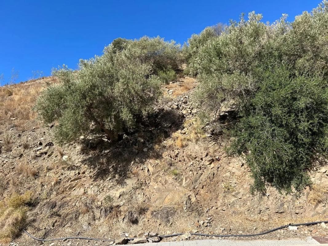 Land for sale in Torrox, Malaga photo 3