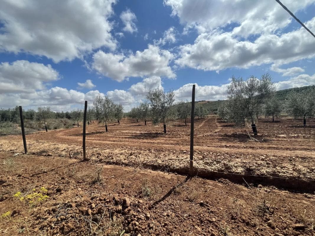 Terreno en venta en Mollina, Malaga photo 5