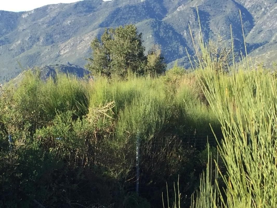 Terreno en venta en Ojén, Malaga photo 3