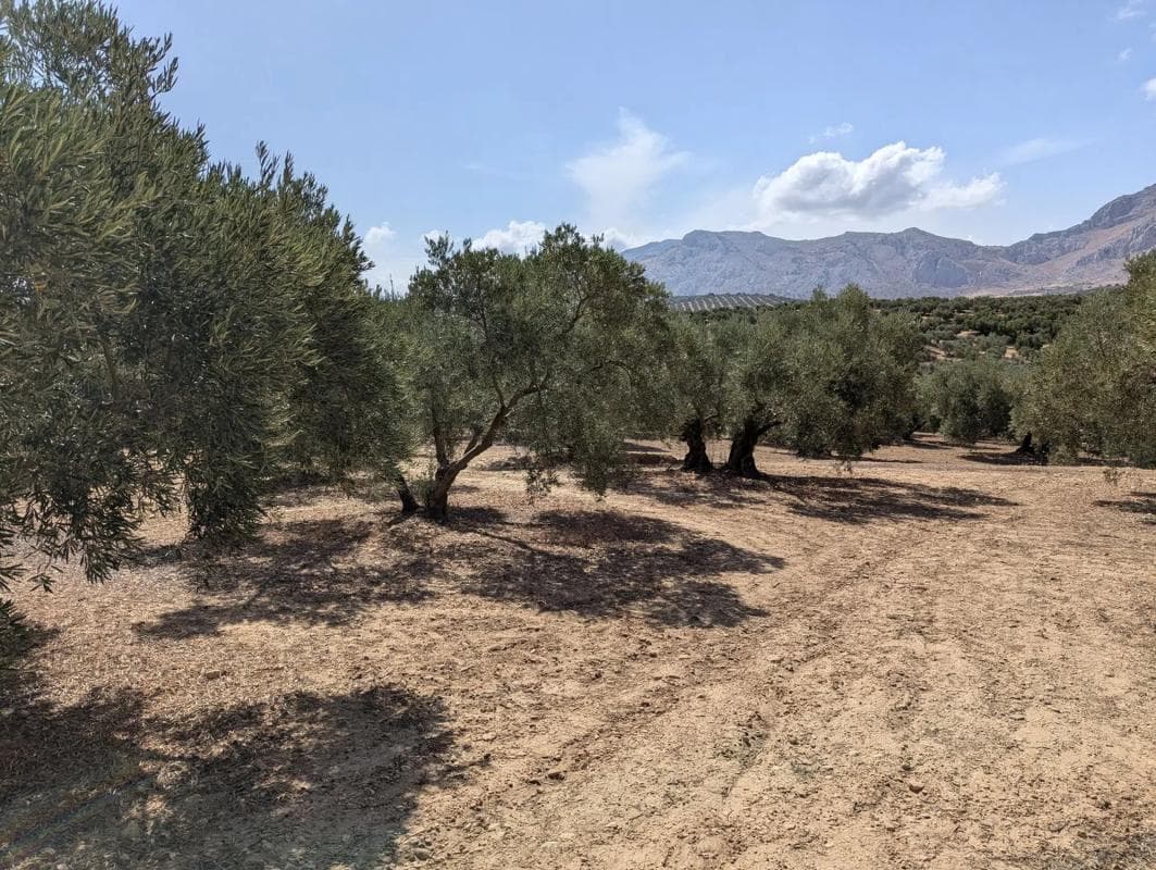 Terreno en venta en Antequera, Malaga photo 4