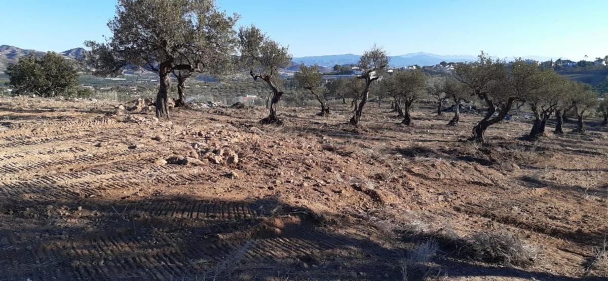 Terreno en venta en Alhaurín el Grande, Malaga photo 3