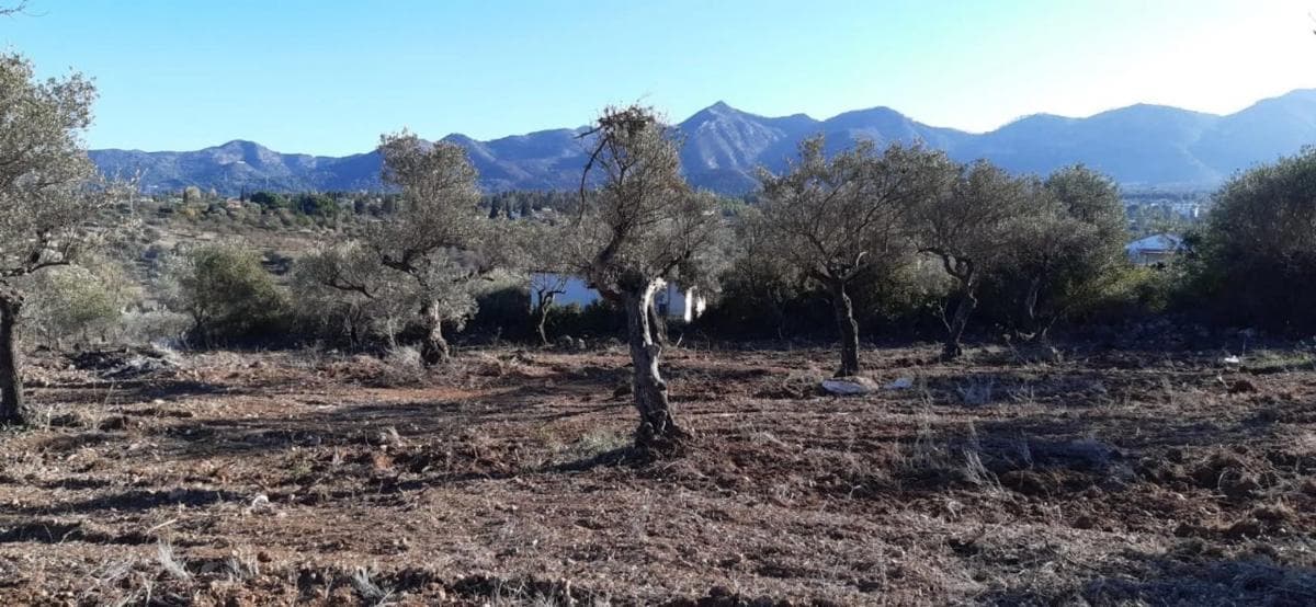 Terreno en venta en Alhaurín el Grande, Malaga photo 5