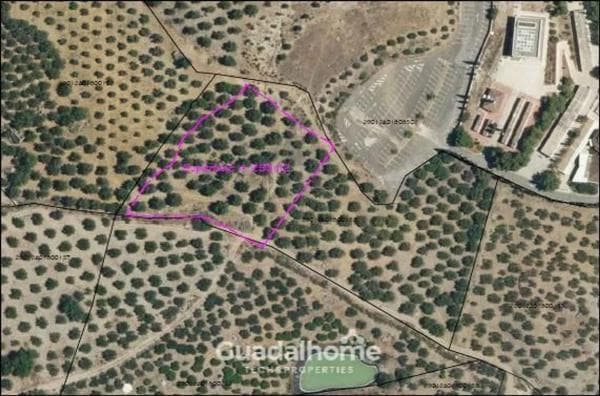 Terreno en Diseminado Poligono 18, 8 photo 1