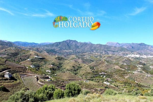 Terreno en camino de Frigiliana, 1 thumbnail 2