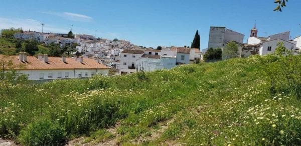 Terreno en avenida Acacias thumbnail 1