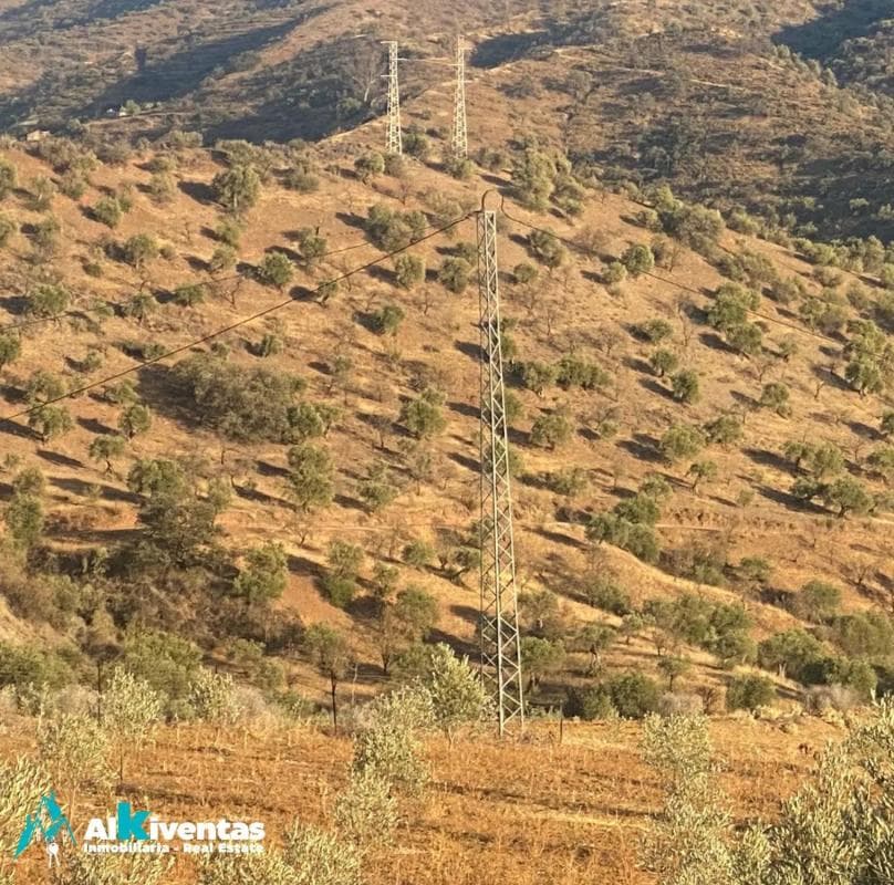 Terreno en venta en Alora, Malaga photo 2