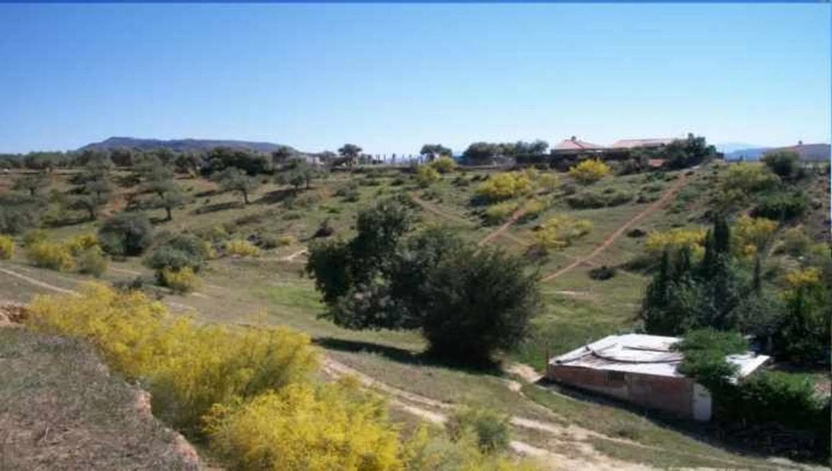 Terreno en venta en Alora, Malaga photo 3