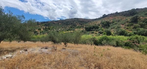 Terreno en Tolox photo 1