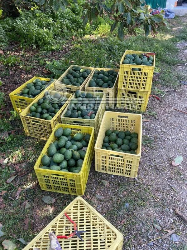 Terreno en venta en Almayate Bajo, Malaga photo 2
