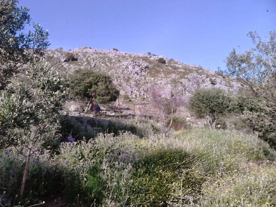 Terreno en venta en Cartajima, Malaga photo 2