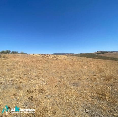 Terreno en Campillos photo 2
