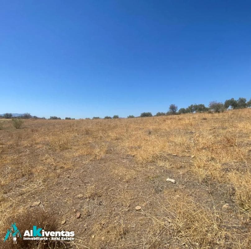 Terreno en venta en Campillos, Malaga photo 3