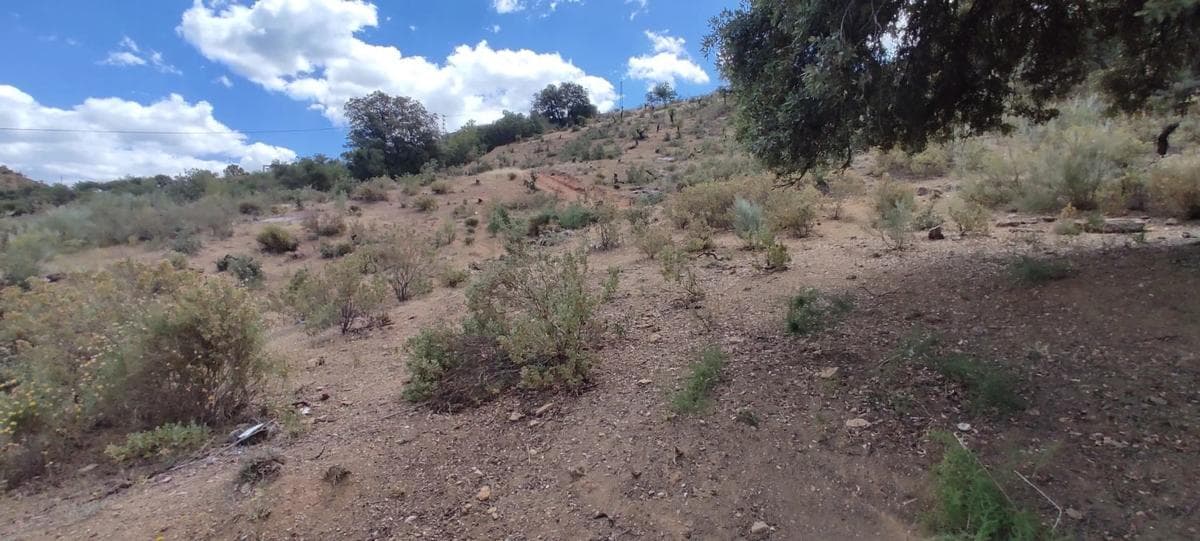 Terreno en venta en Coin, Malaga photo 5