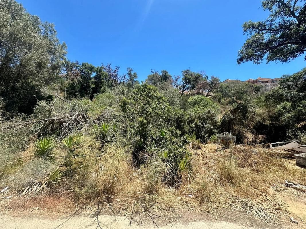 Terreno en venta en Marbella, Malaga photo 2