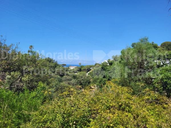 Terreno en Barrio Elviria photo 1