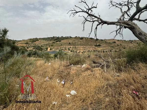 Terreno en Bobadilla - Bobadilla Estación - La Joya photo 1