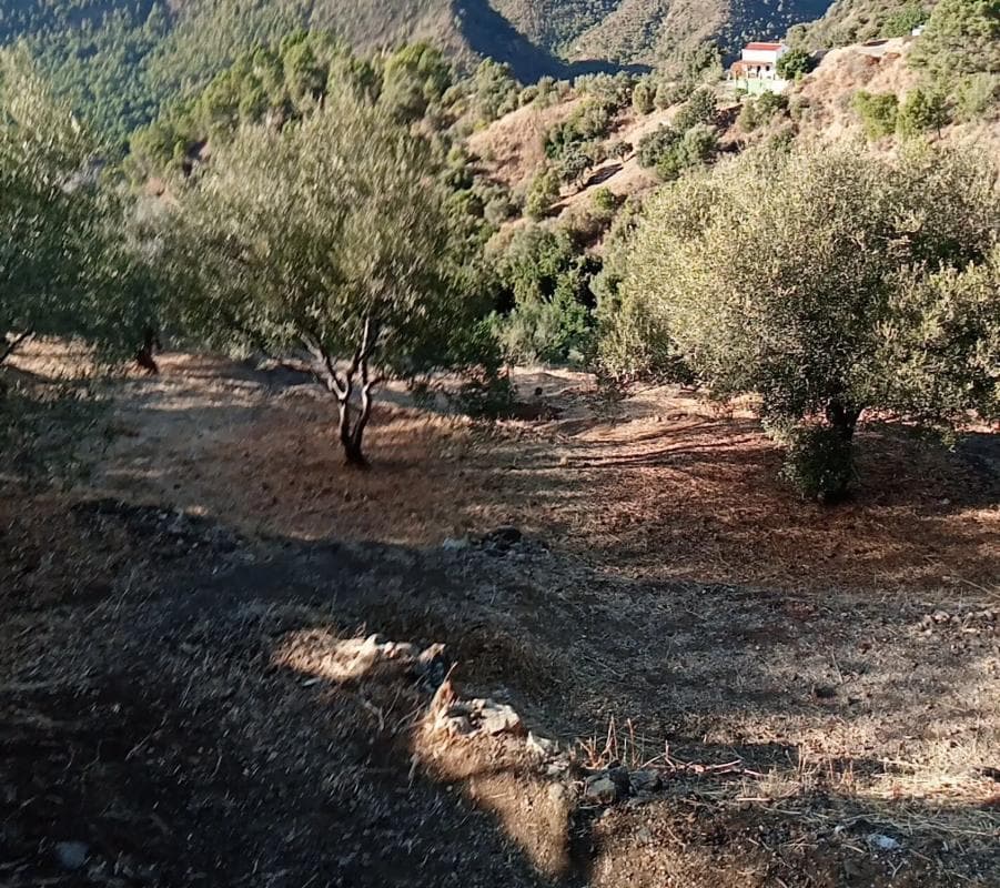 Terreno en venta en Istan, Malaga photo 4