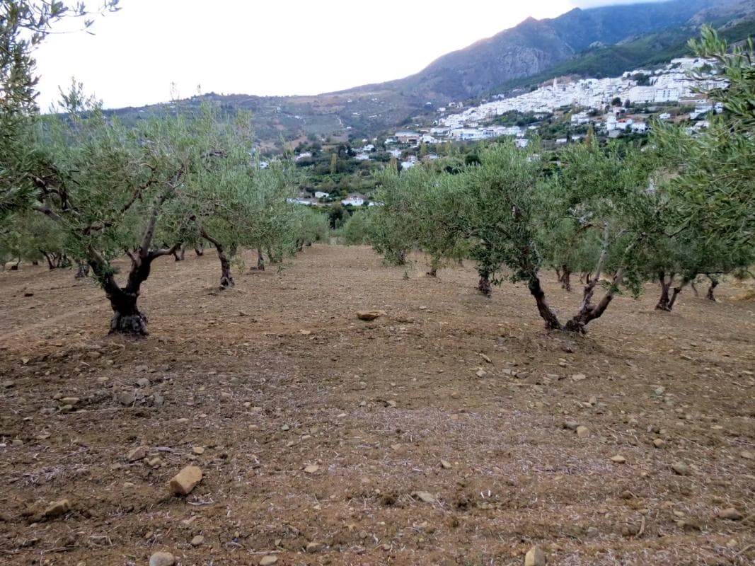 Terreno en venta en Casarabonela, Malaga photo 2