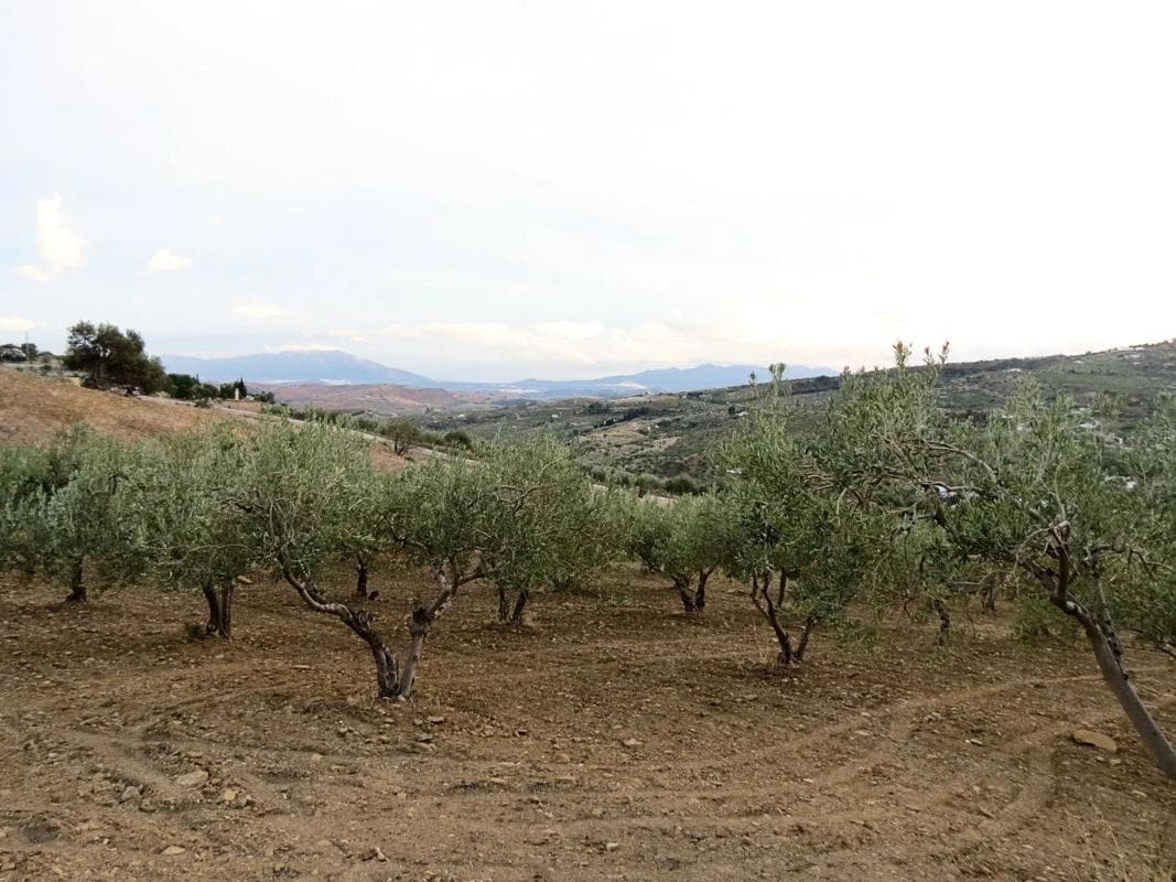 Terreno en venta en Casarabonela, Malaga photo 4
