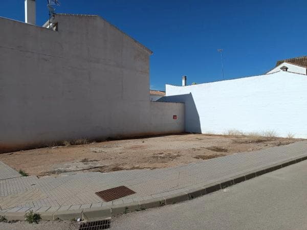 Terreno en calle Ficus, 2 photo 3