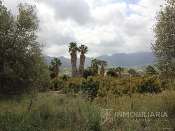 Terreno en Ardelejos - Cuesta de la Palma - Buenavista photo 1