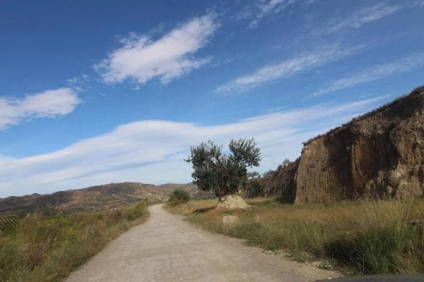 Terreno en Alora photo 1