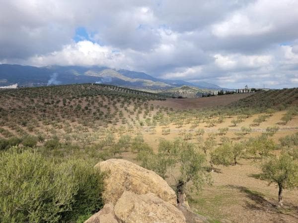 Terreno en Alozaina photo