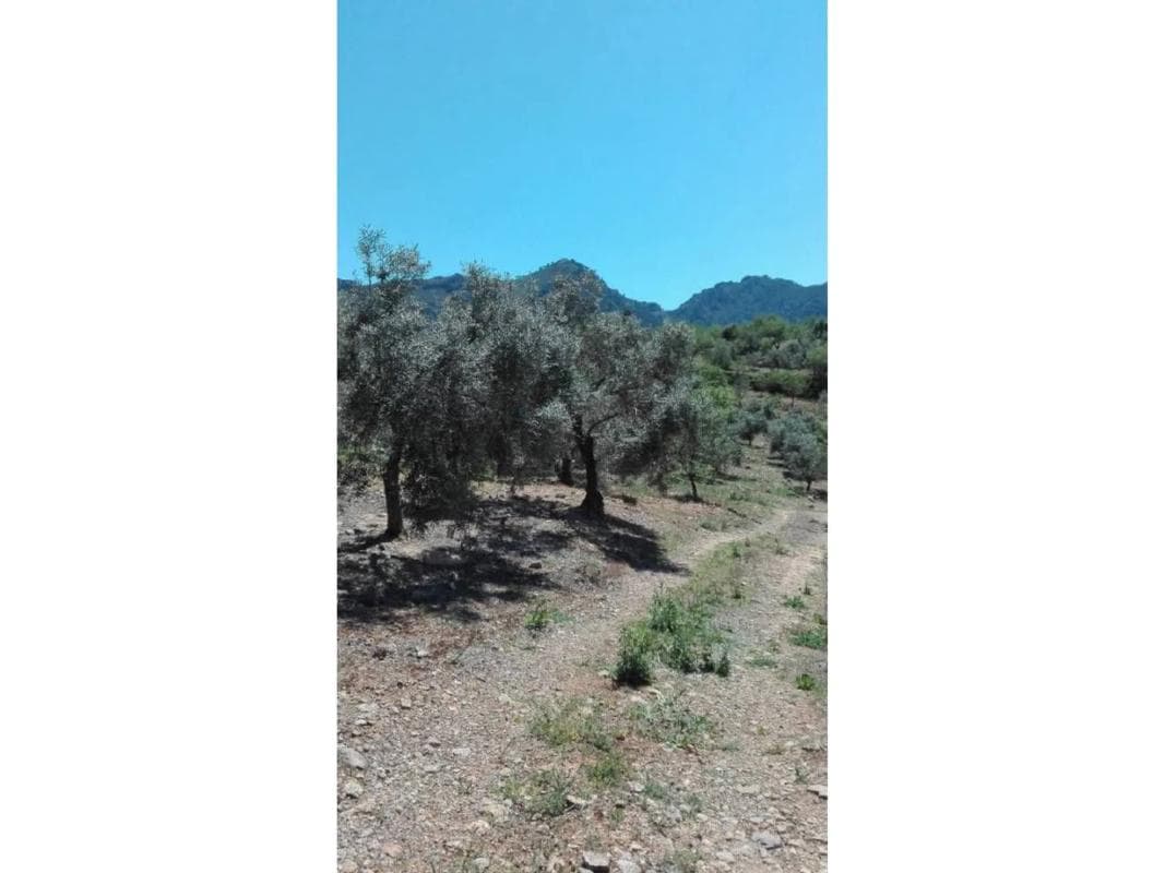 Terreno en venta en Casarabonela, Malaga photo 2