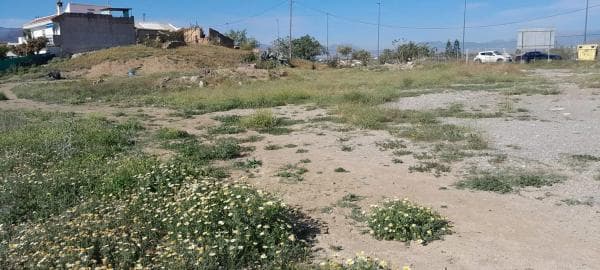 Terreno en Estación photo 3