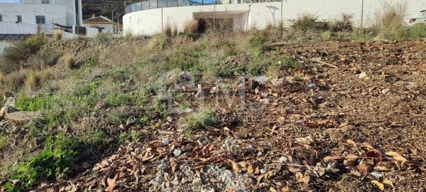 Terreno en Urbanización Santa Rosa photo 1
