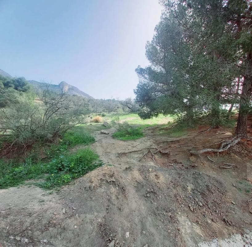 Terreno en venta en Canillas de Aceituno, Malaga photo 2
