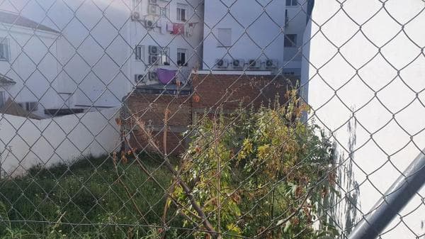 Terreno en Centro photo 3