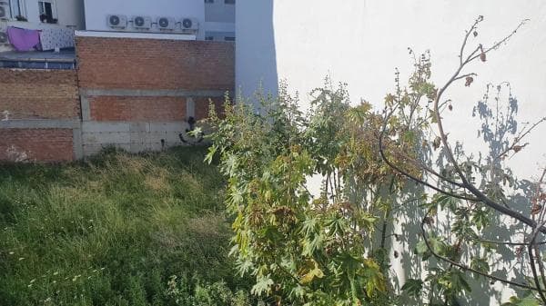 Terreno en Centro photo 4