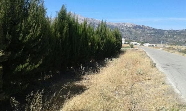 Terreno en Diseminado Diseminados, km 0 thumbnail 2